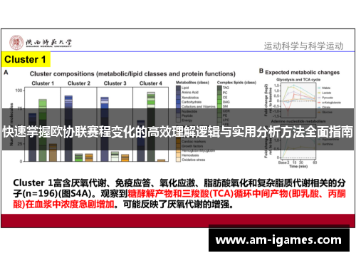 快速掌握欧协联赛程变化的高效理解逻辑与实用分析方法全面指南 快速掌握欧协联赛程变化的高效理解逻辑与实用分析方法全面指南