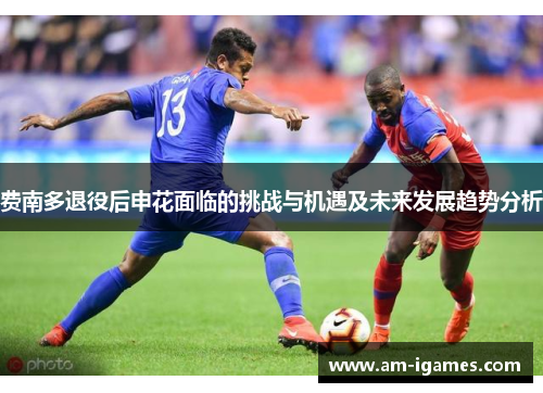 费南多退役后申花面临的挑战与机遇及未来发展趋势分析